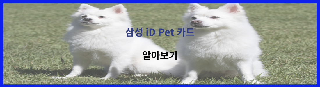 삼성 iD Pet 카드 0