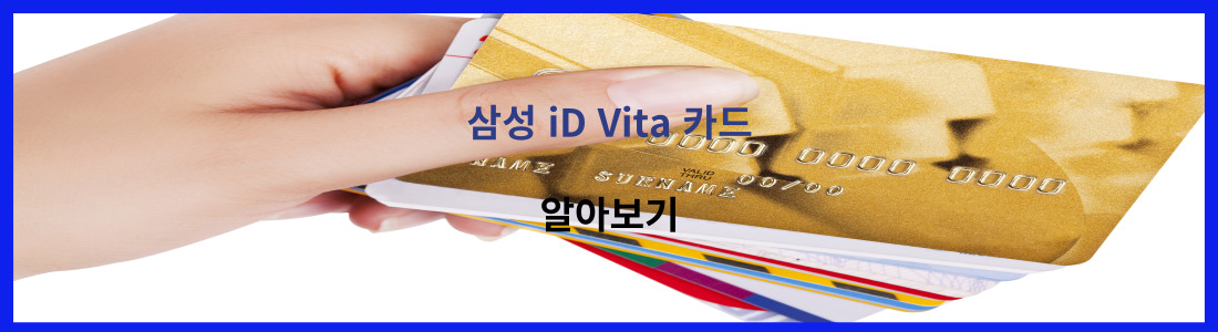 삼성 iD Vita 카드 0